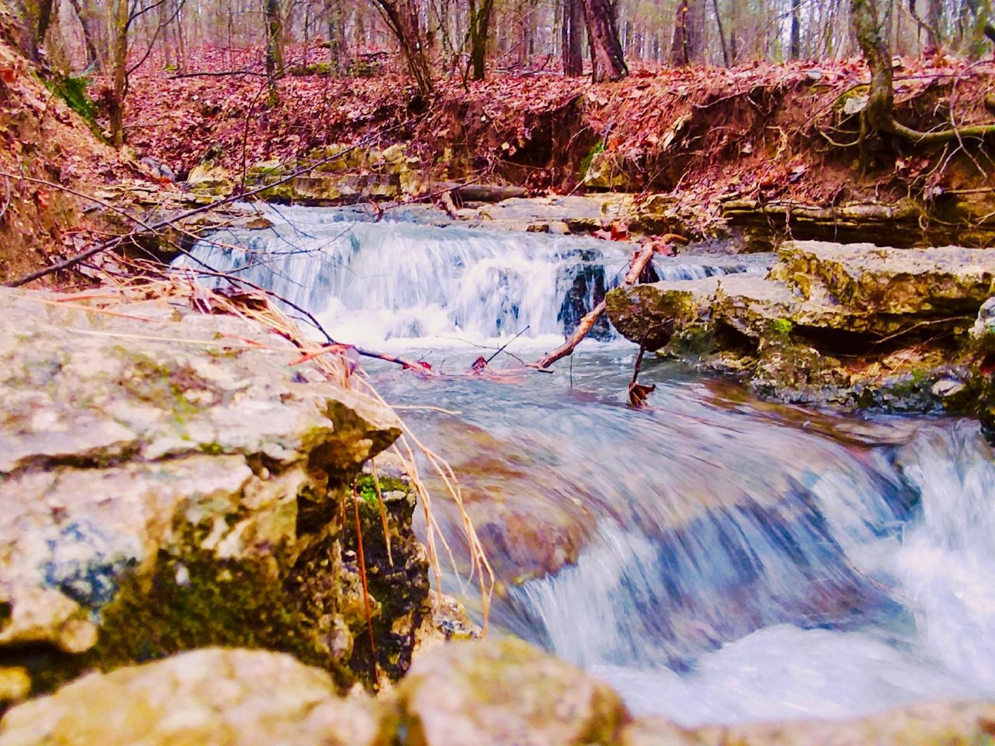 יוריקה ספרינגס Cinnamon Valley מראה חיצוני תמונה